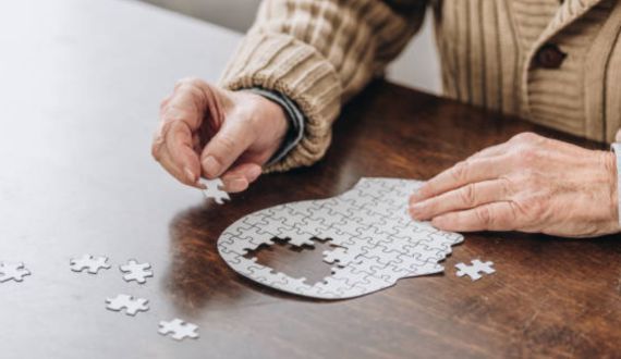 La maladie d'Alzheimer en France