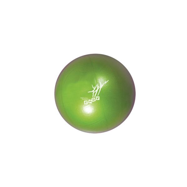 Ballon fitness Gym Ball Mambo à petit prix pour les sportifs